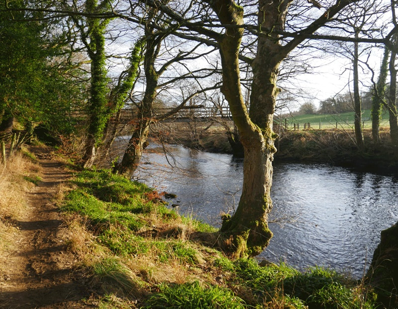  River Nidd, near Glasshouses

